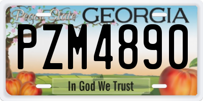 GA license plate PZM4890