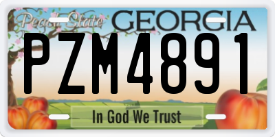 GA license plate PZM4891