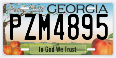 GA license plate PZM4895