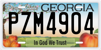 GA license plate PZM4904