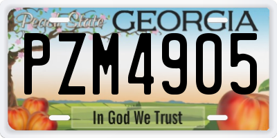 GA license plate PZM4905