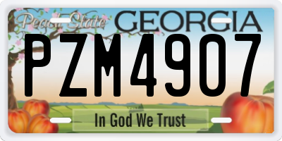 GA license plate PZM4907