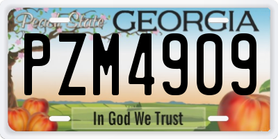 GA license plate PZM4909