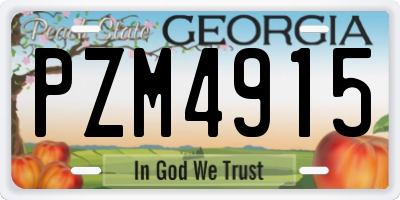 GA license plate PZM4915