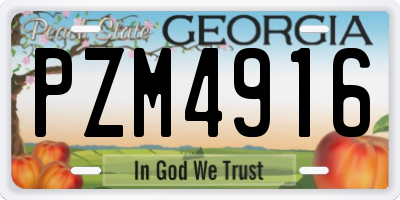 GA license plate PZM4916