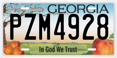 GA license plate PZM4928