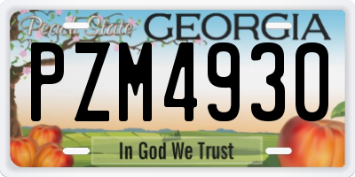 GA license plate PZM4930
