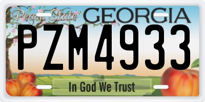 GA license plate PZM4933