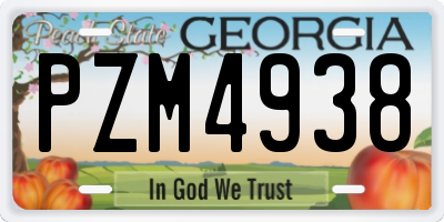 GA license plate PZM4938