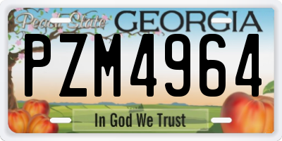 GA license plate PZM4964