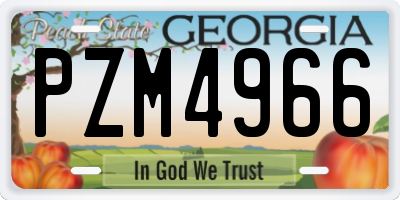 GA license plate PZM4966