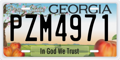GA license plate PZM4971
