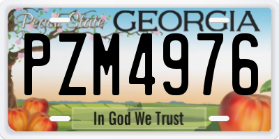GA license plate PZM4976