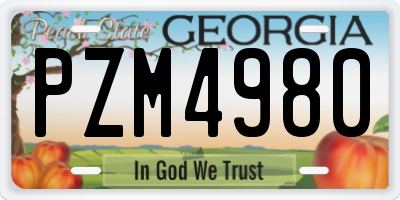 GA license plate PZM4980
