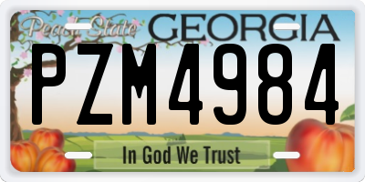 GA license plate PZM4984