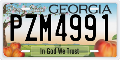 GA license plate PZM4991