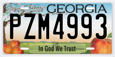 GA license plate PZM4993