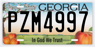 GA license plate PZM4997