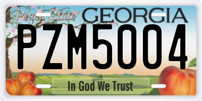 GA license plate PZM5004