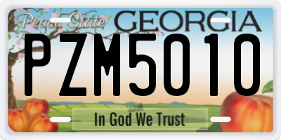 GA license plate PZM5010