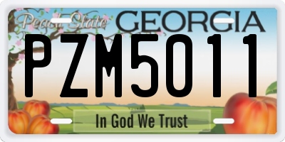GA license plate PZM5011