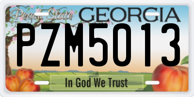 GA license plate PZM5013