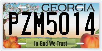 GA license plate PZM5014