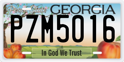 GA license plate PZM5016