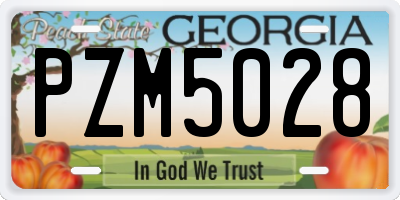 GA license plate PZM5028