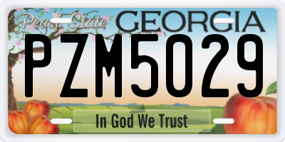 GA license plate PZM5029