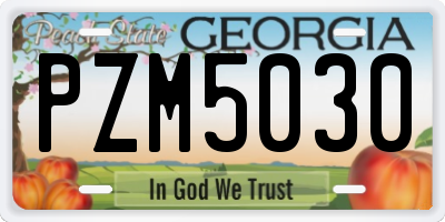 GA license plate PZM5030