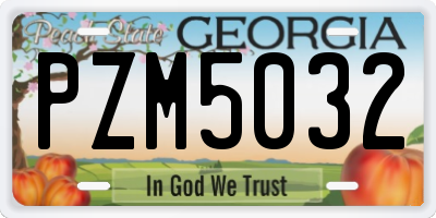 GA license plate PZM5032