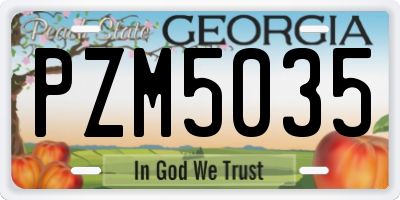 GA license plate PZM5035
