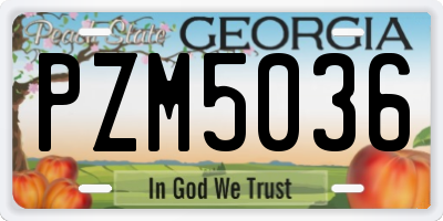 GA license plate PZM5036
