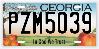 GA license plate PZM5039