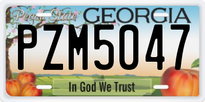 GA license plate PZM5047