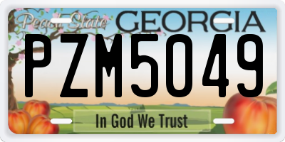 GA license plate PZM5049