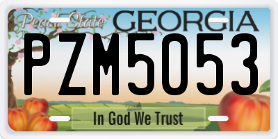 GA license plate PZM5053