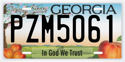 GA license plate PZM5061
