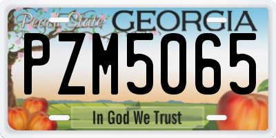 GA license plate PZM5065