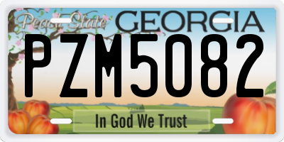 GA license plate PZM5082