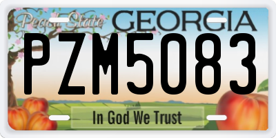 GA license plate PZM5083