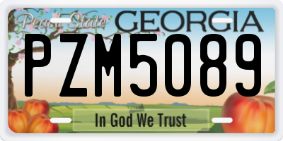 GA license plate PZM5089