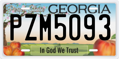 GA license plate PZM5093