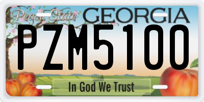 GA license plate PZM5100