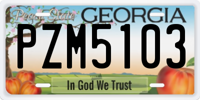 GA license plate PZM5103