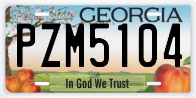 GA license plate PZM5104