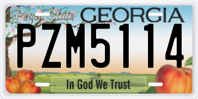 GA license plate PZM5114