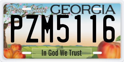 GA license plate PZM5116
