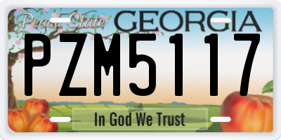 GA license plate PZM5117